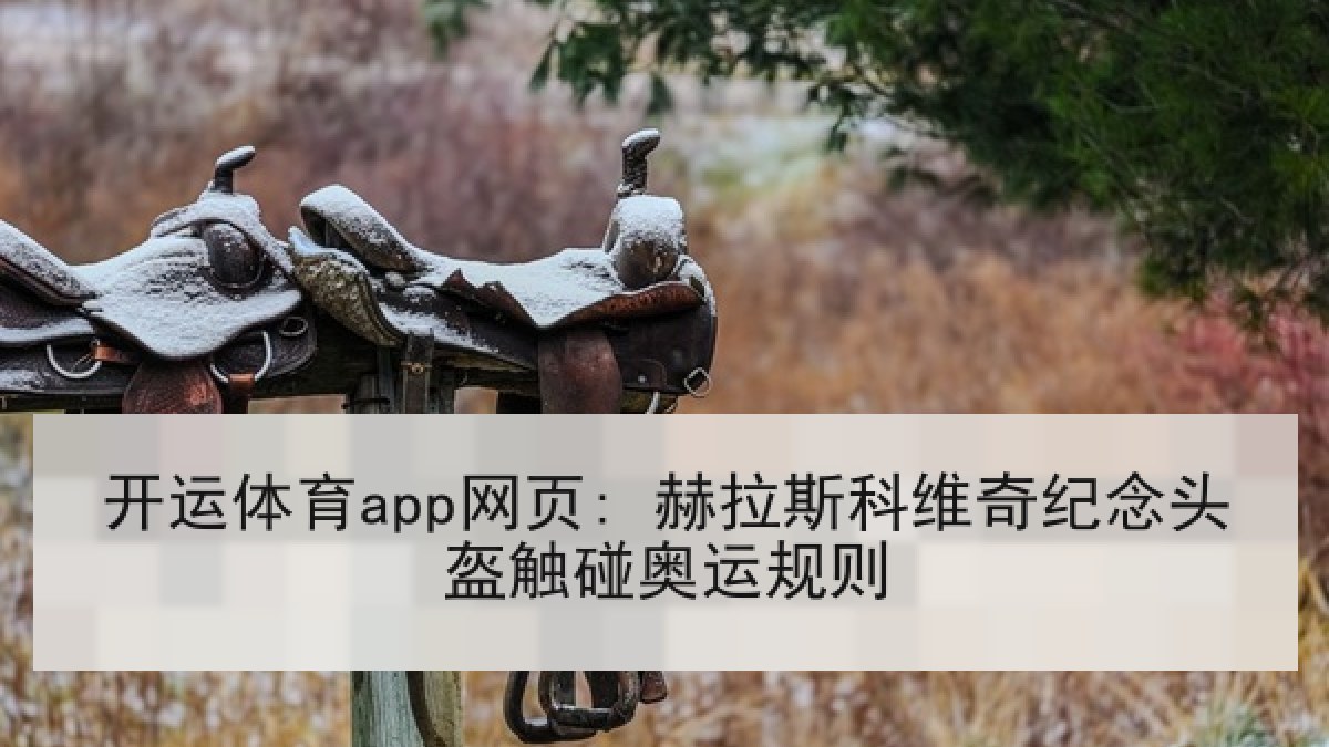开运体育app网页: 赫拉斯科维奇纪念头盔触碰奥运规则