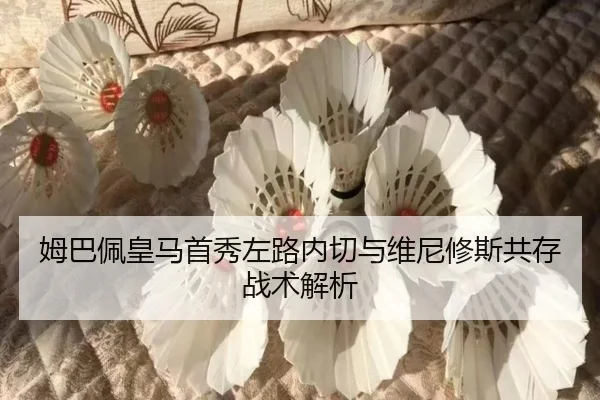 mu-ba-pei-huang-ma-shou-xiu-zuo-lu-nei-qie-yu-wei-ni-xiu-si-gong-cun-zhan-shu-jie-xi-2-598.jpg
