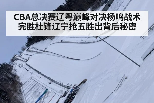 CBA总决赛辽粤巅峰对决杨鸣战术完胜杜锋辽宁抢五胜出背后秘密